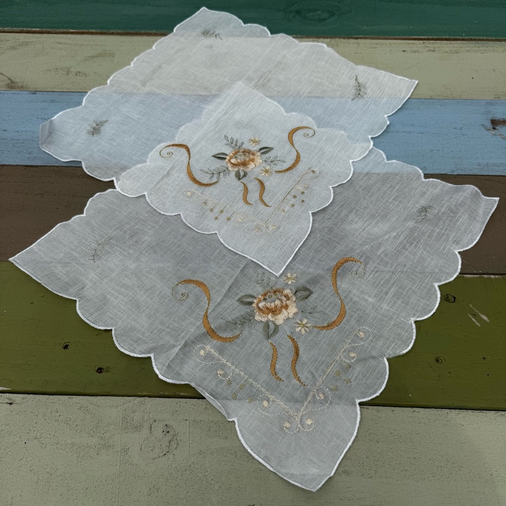 Vintage Sheer Embroidered Placemats set of 2